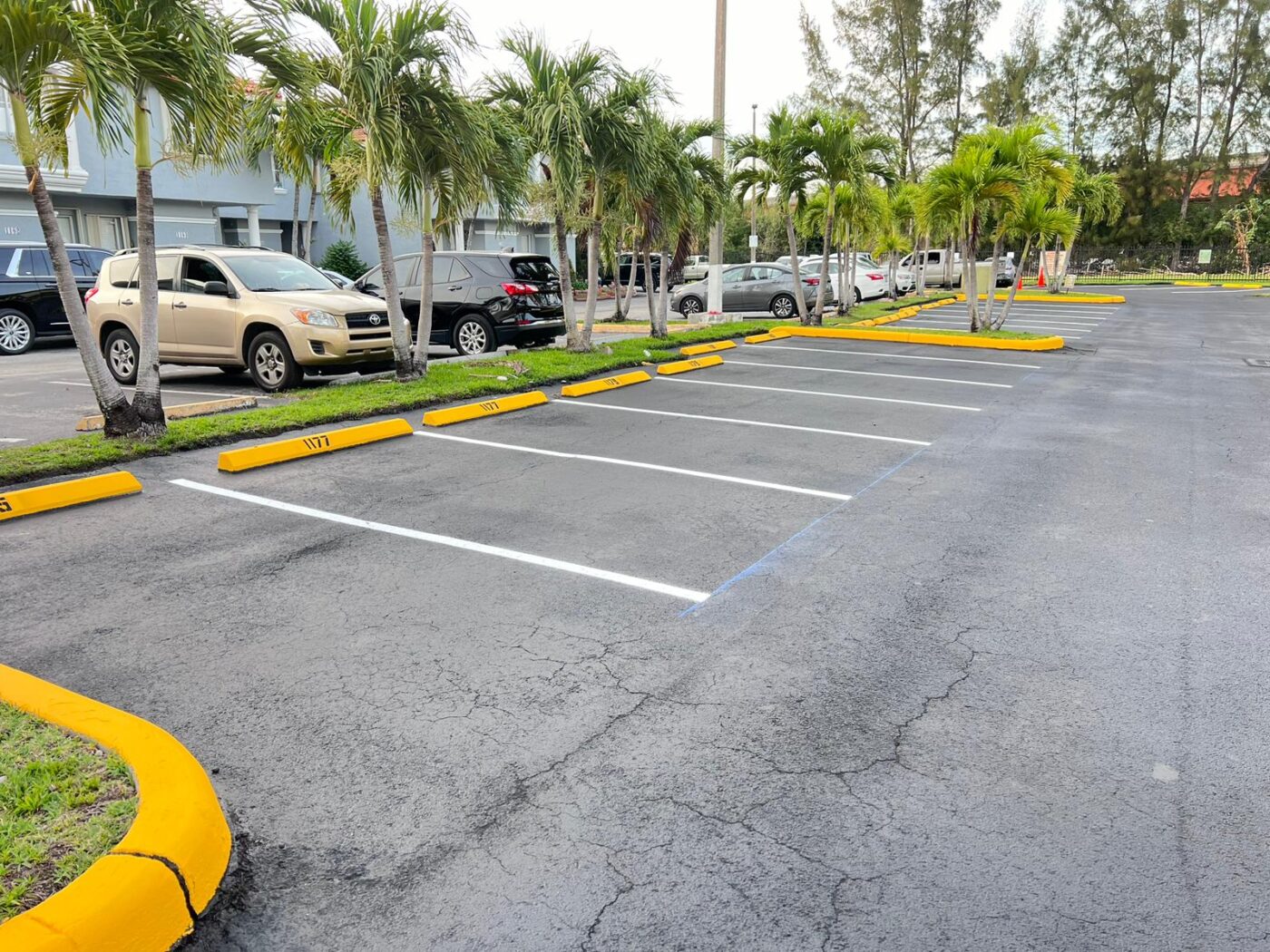 A parking lot with several empty parking spaces bordered by yellow curbs, palm trees lining the area, and a row of parked cars in the background. The asphalt is clean and well-maintained.