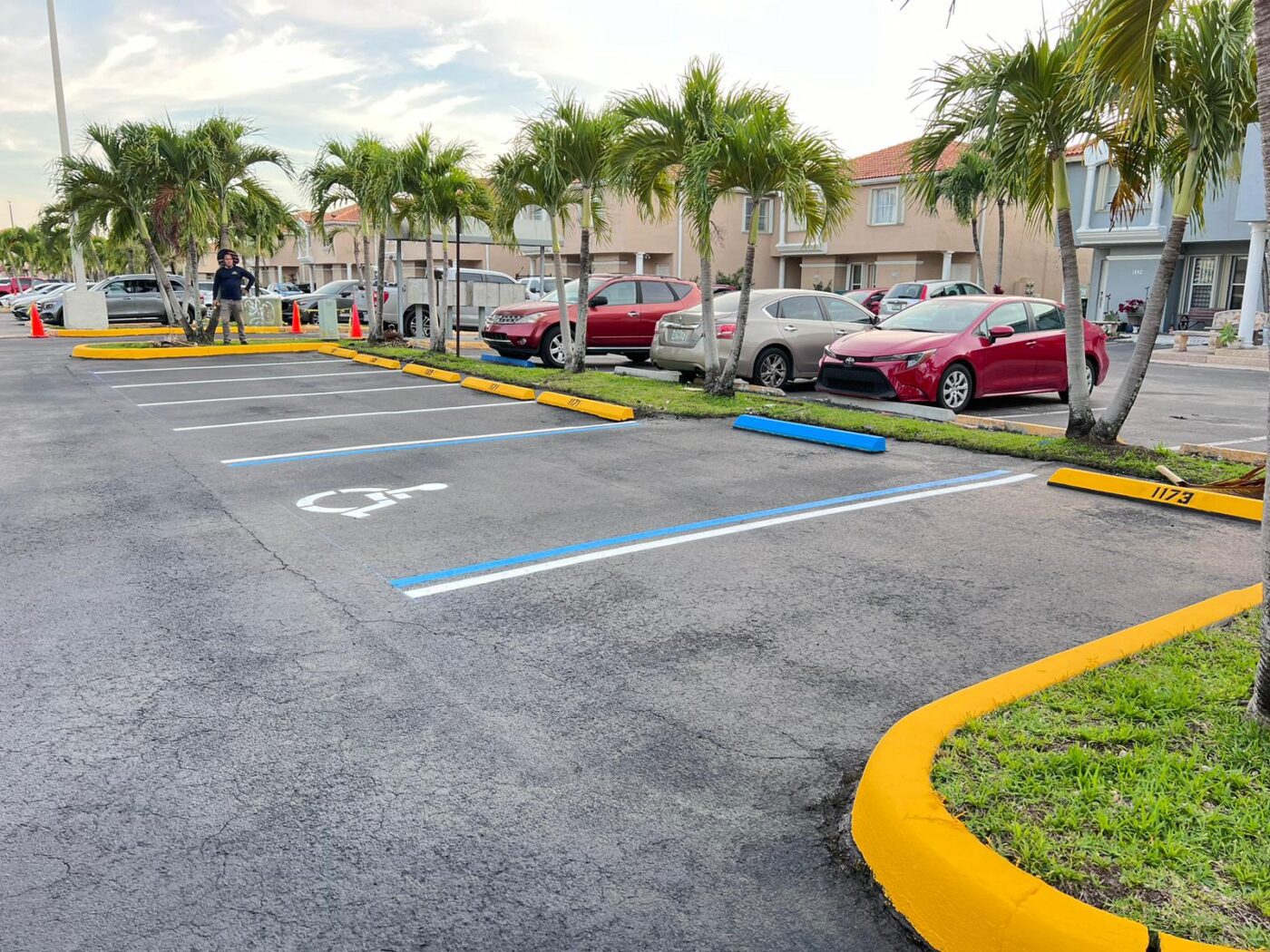 A parking lot with several cars parked. Two empty accessible parking spaces are marked with blue lines and a wheelchair symbol. Palm trees line the lot, and a person stands near the background.